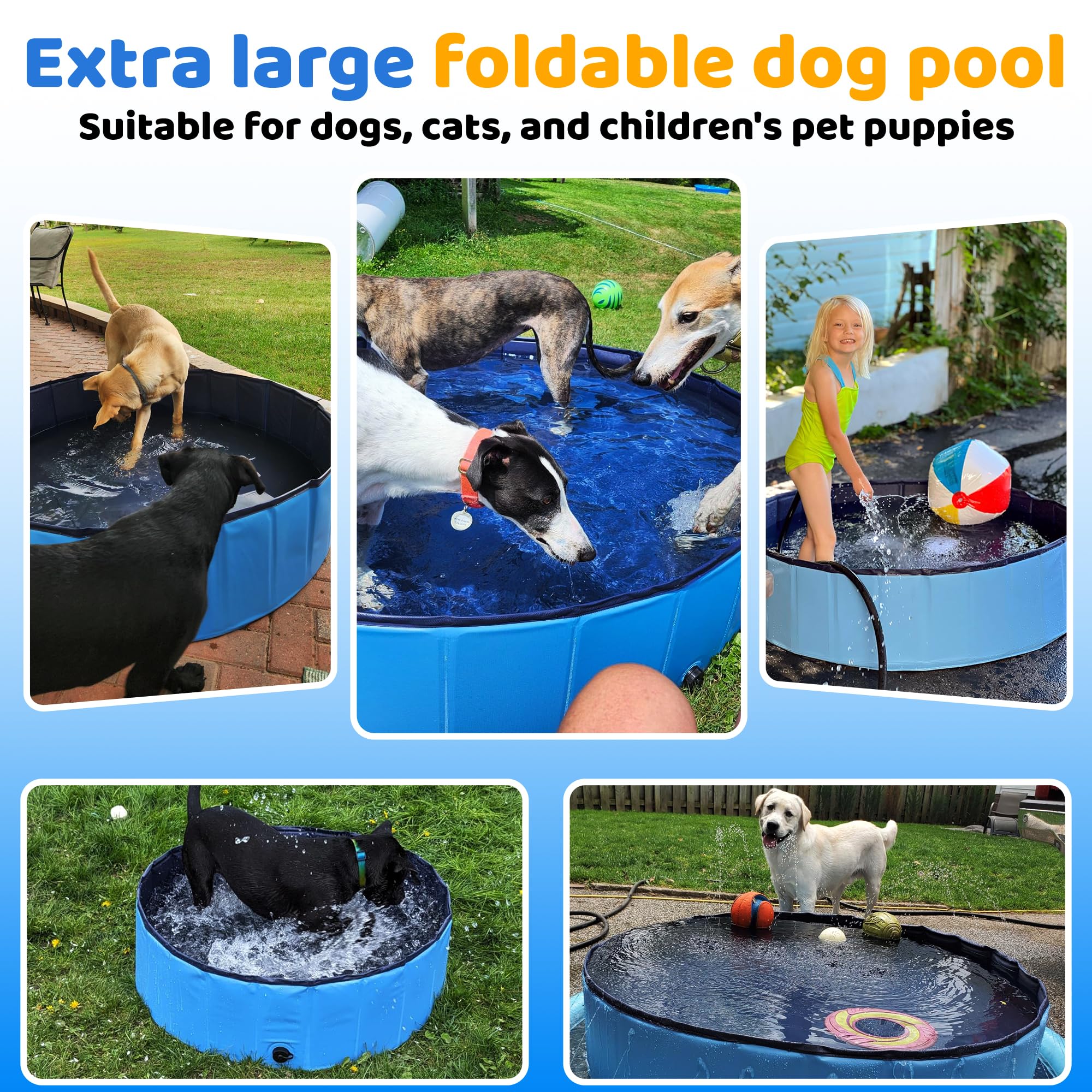 CACSPS pool is portable for beach trips and lawn play.