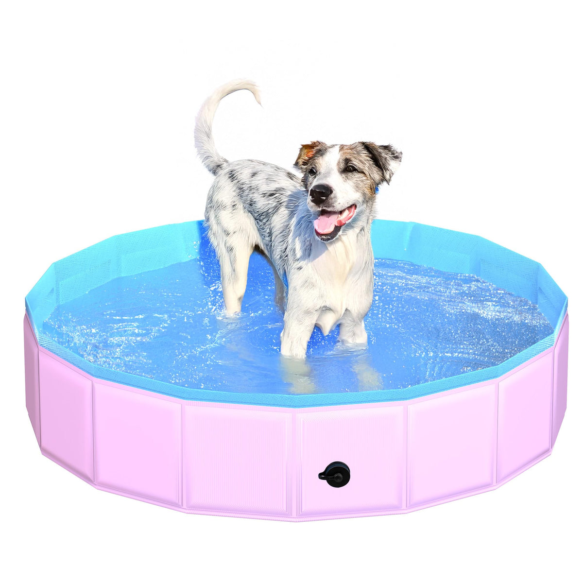 CACSPS foldable dog pool front view, easy setup for outdoor fun.
