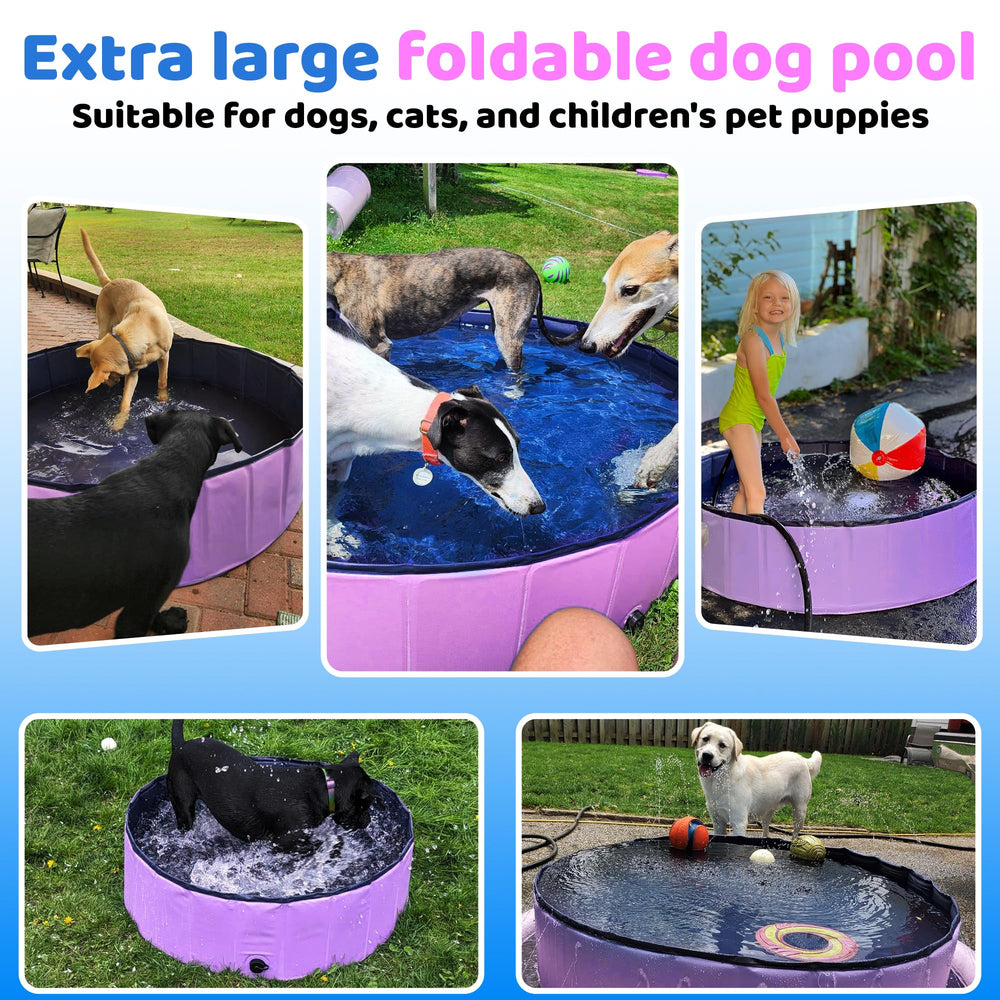 CACSPS foldable dog pool family-use scene with kids and pets.