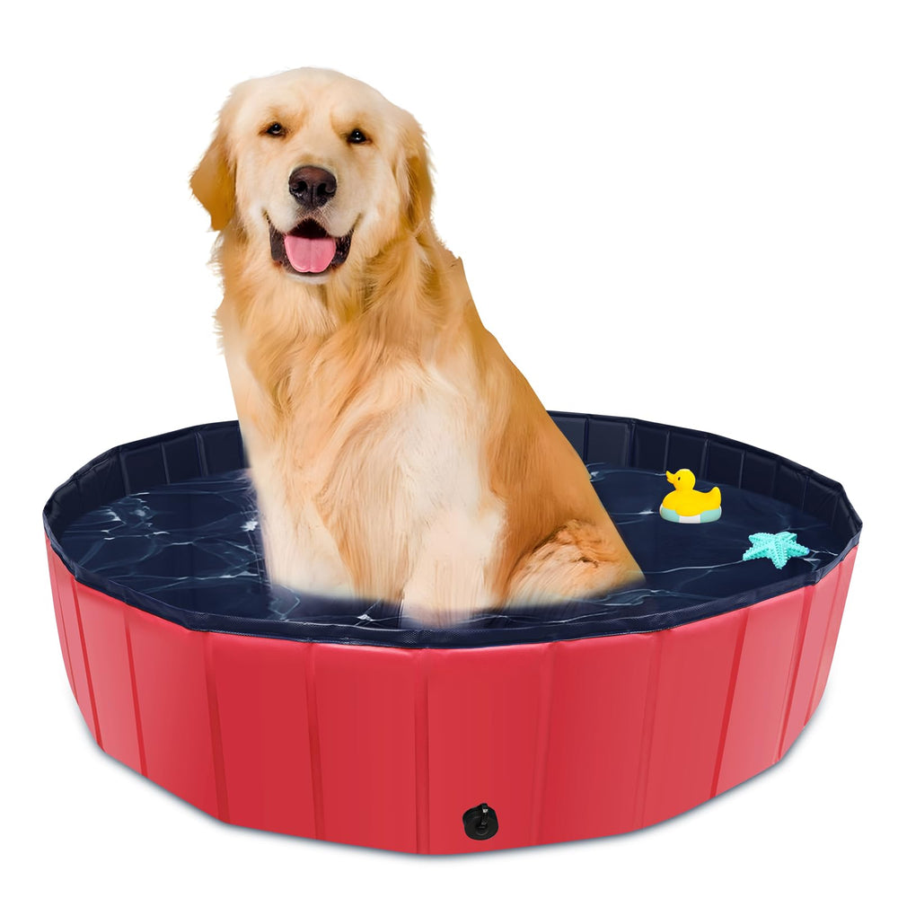 CACSPS foldable dog pool opened in backyard for quick cooling and easy setup