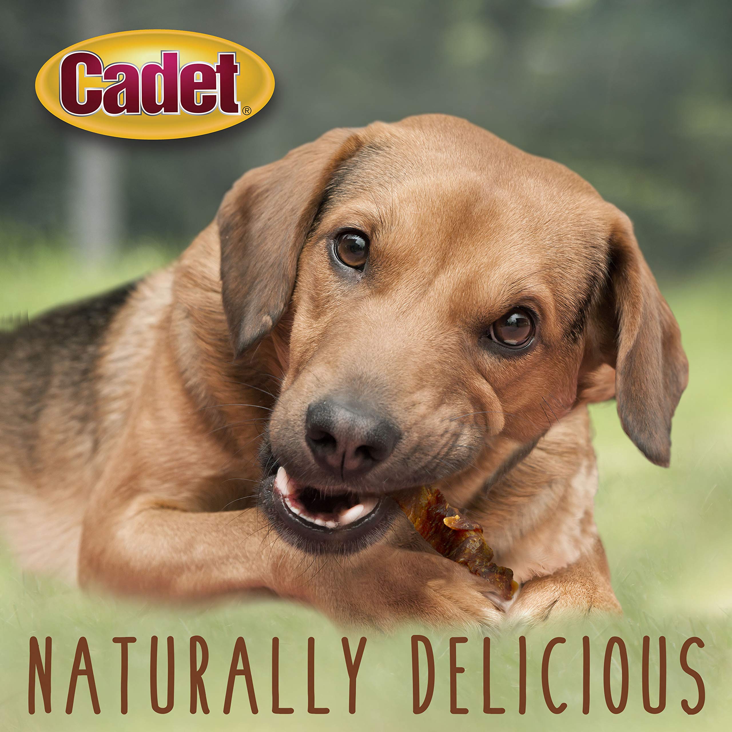 Cadet 28oz bag of treats stacked, convenient training rewards
