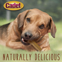 Cadet beef-hide bone pack display presents a long-lasting, savory chew option for dogs.