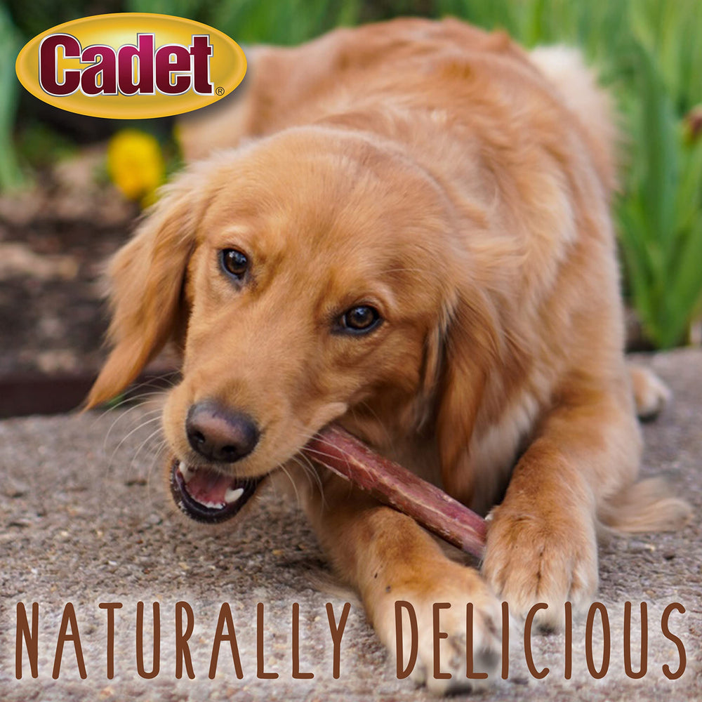 Cadet Bully Sticks small dogs grain-free option for sensitive diets