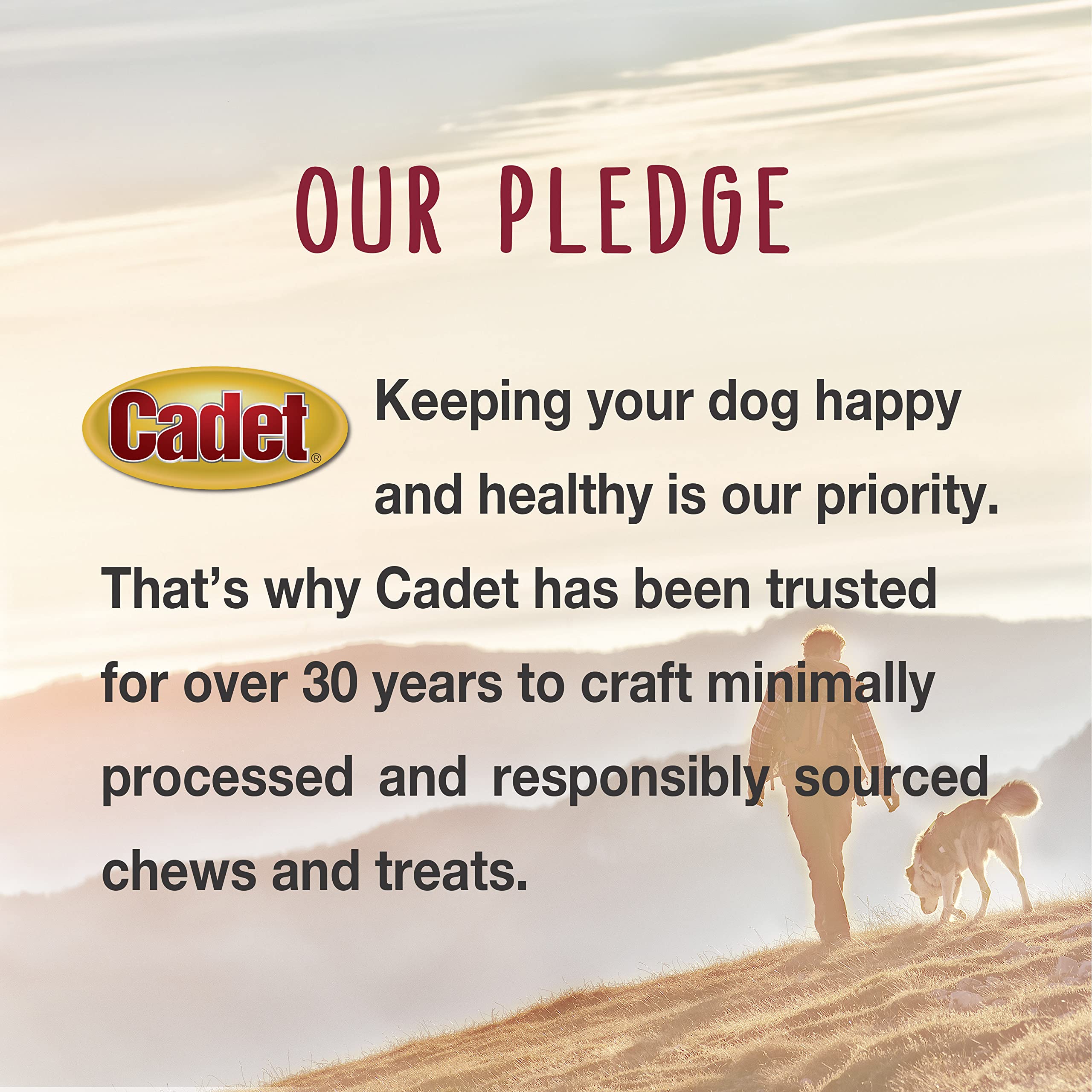 Dog excited during training with Cadet Chicken & Apple Wraps rewards.