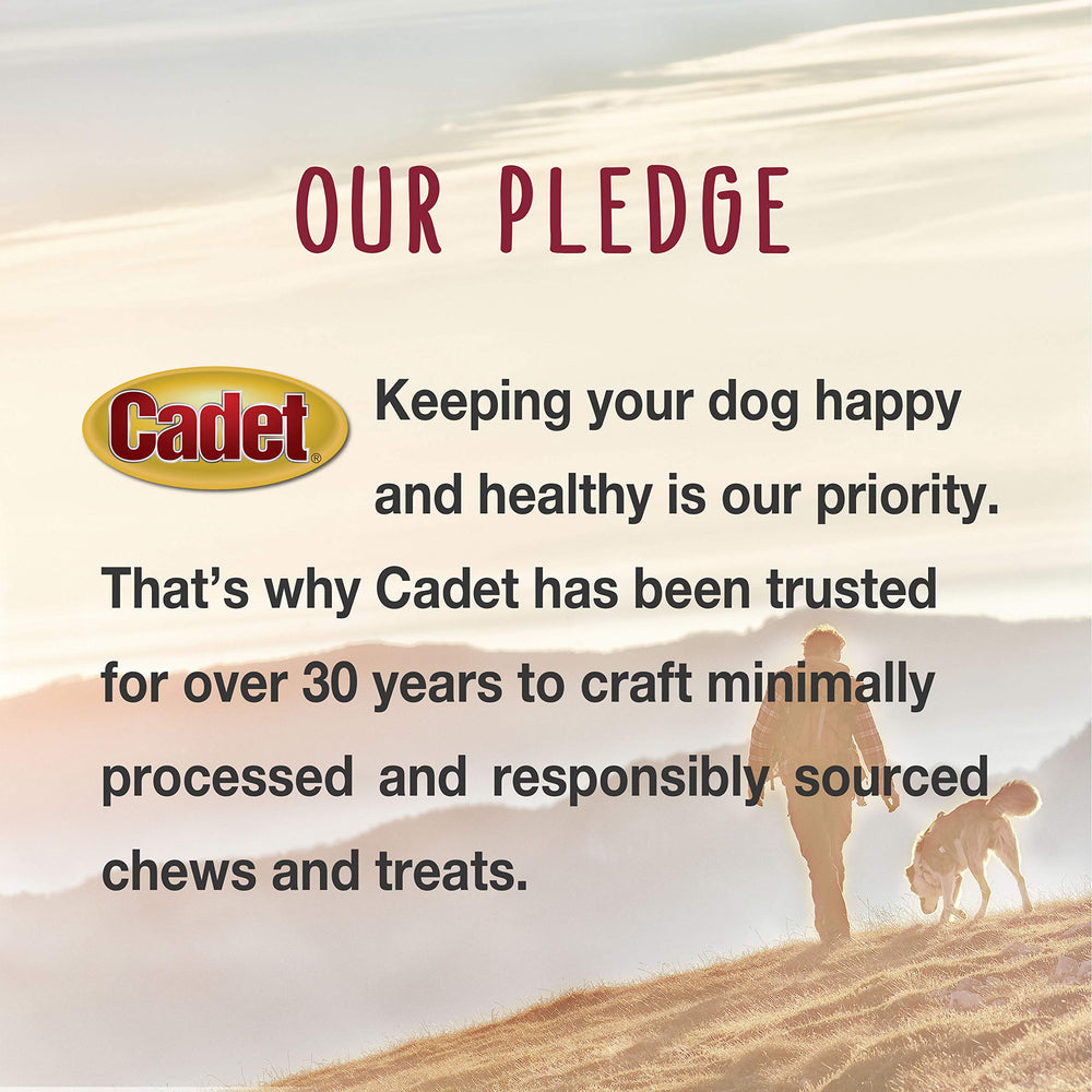 Cadet Duck Breast Jerky for-small-and-large-dogs demonstrates versatile mid-day snack.