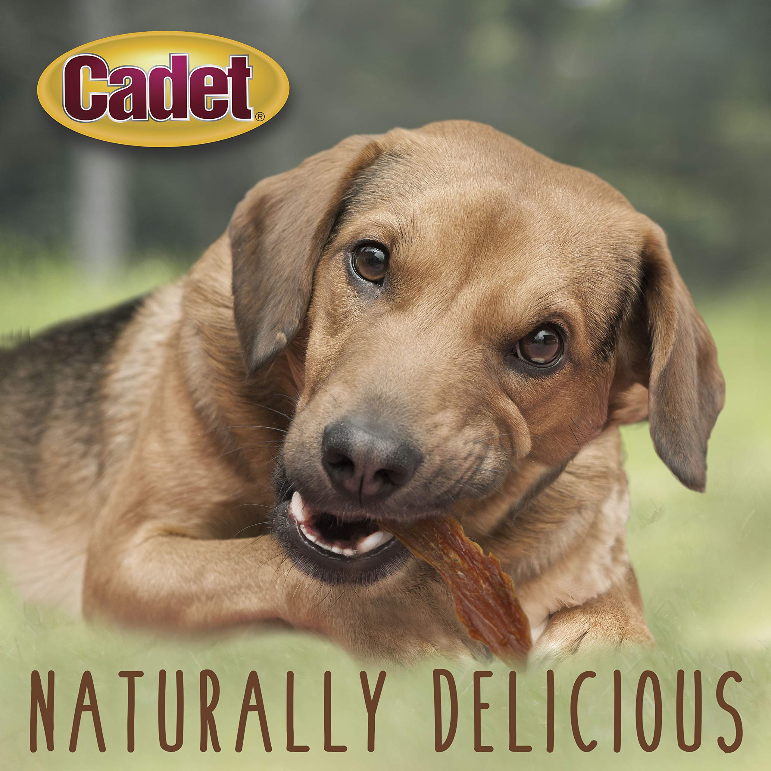 Cadet Duck Breast Jerky training-reward shot illustrates ideal obedience rewards.