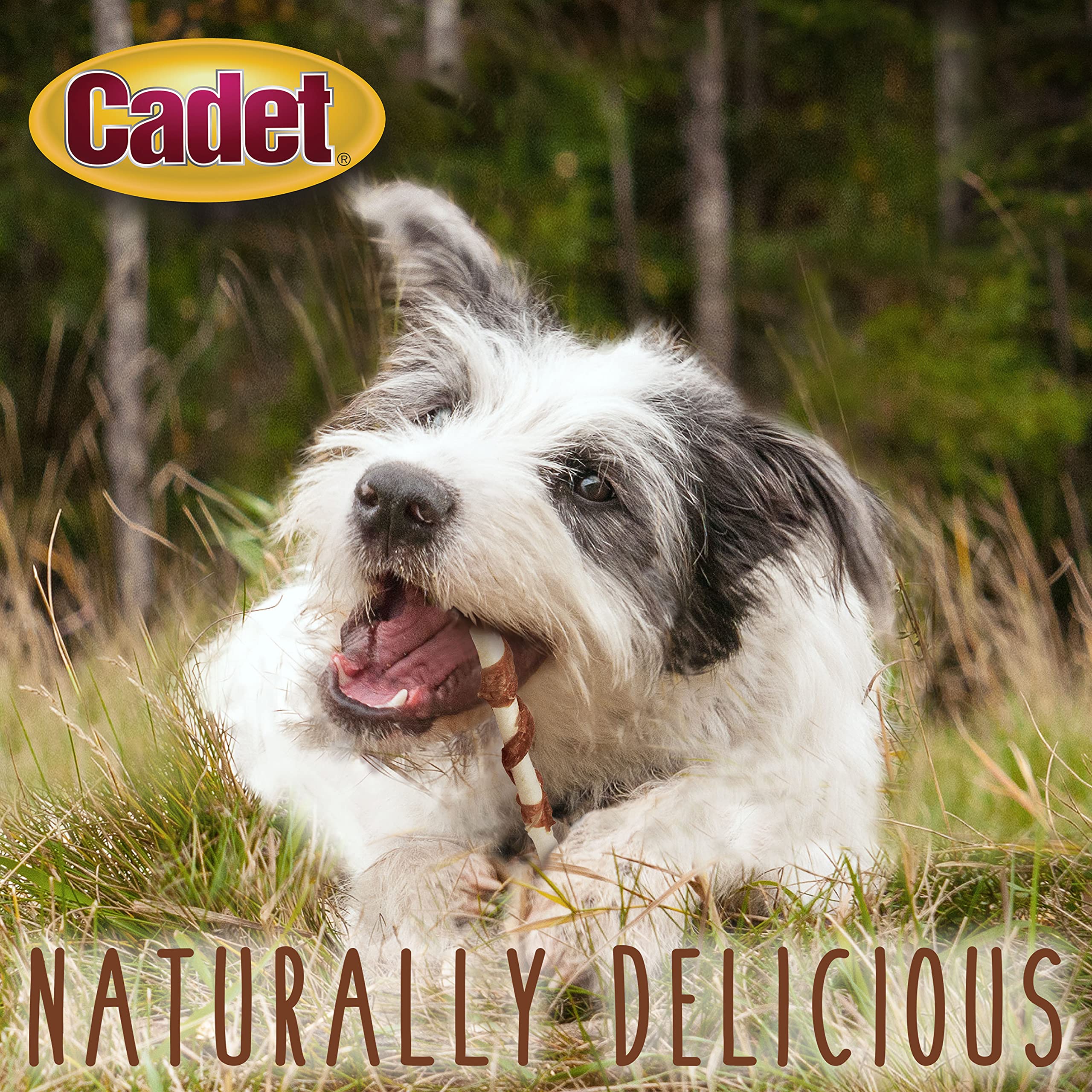 Cadet Gourmet Beef Hide Twist natural ingredients label close-up for health-conscious buyers.