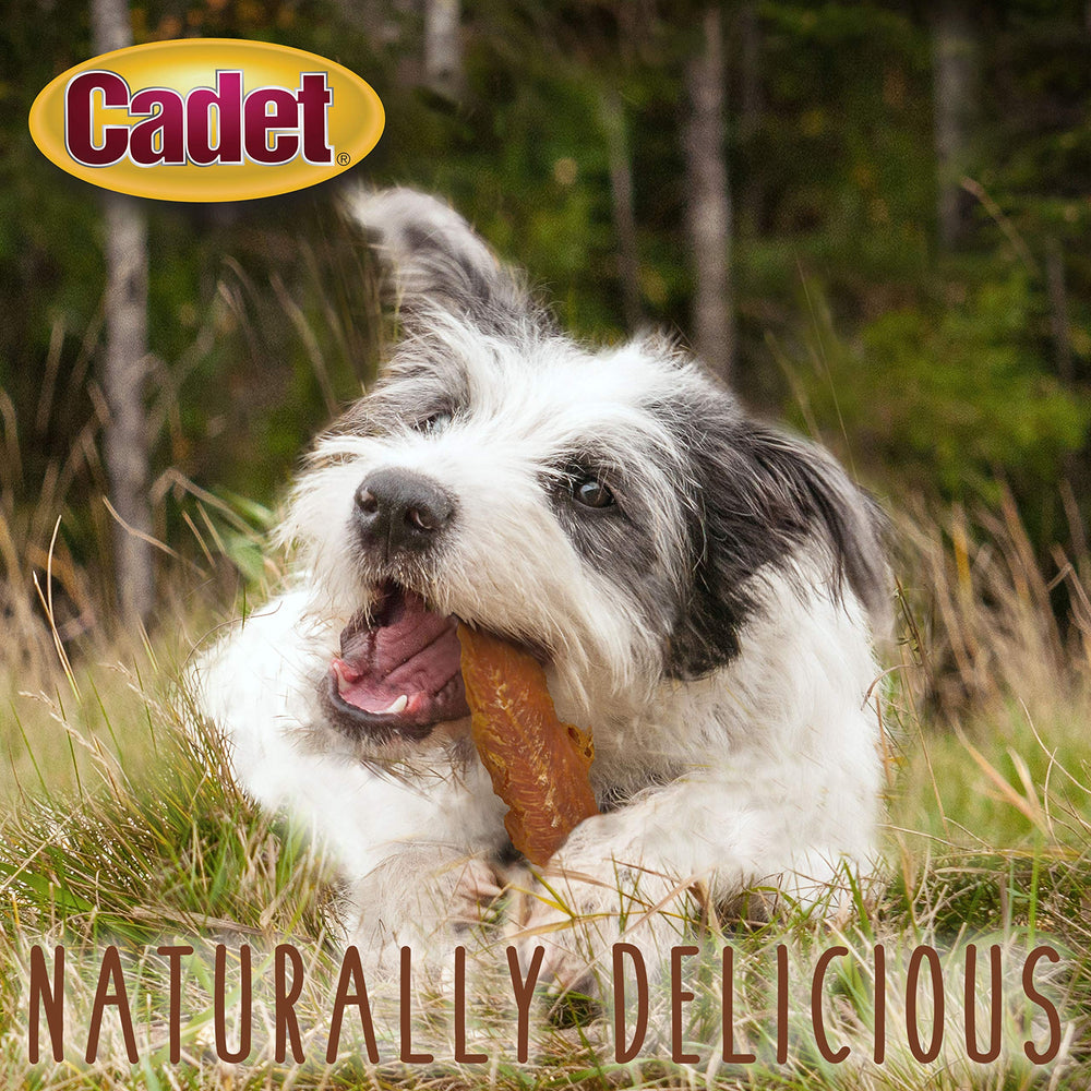 Cadet Gourmet Chicken Breast Treats used as positive reinforcement during training.