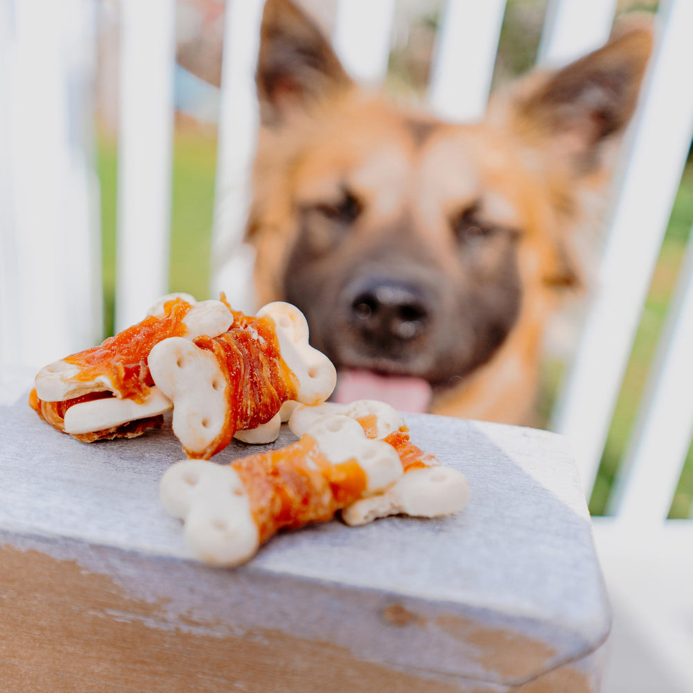 Cadet Gourmet chicken-wrapped-biscuit treats close-up crisp-biscuit shows satisfying crunch