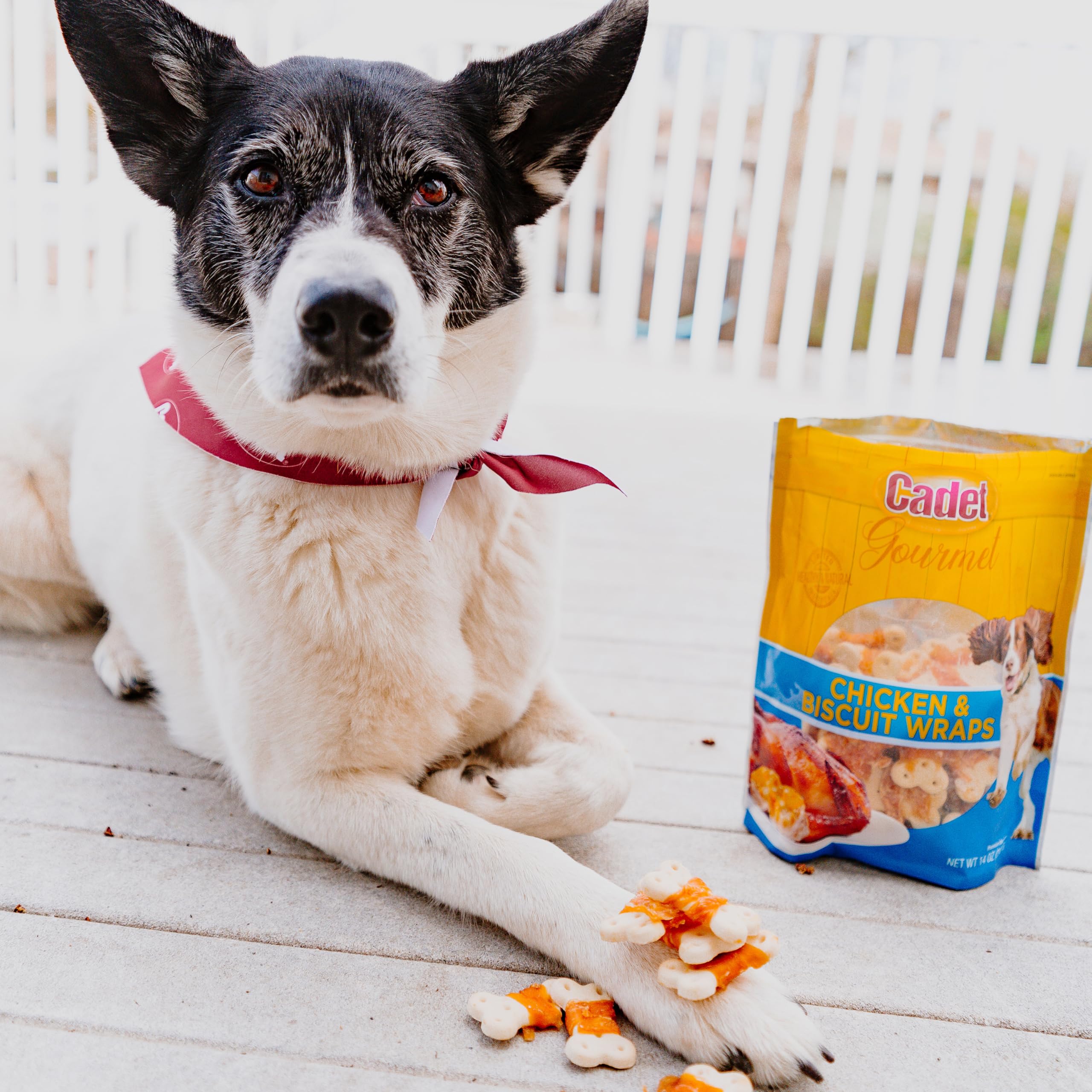 Cadet Gourmet chicken-wrapped-biscuit treats inspection seal emphasizes quality