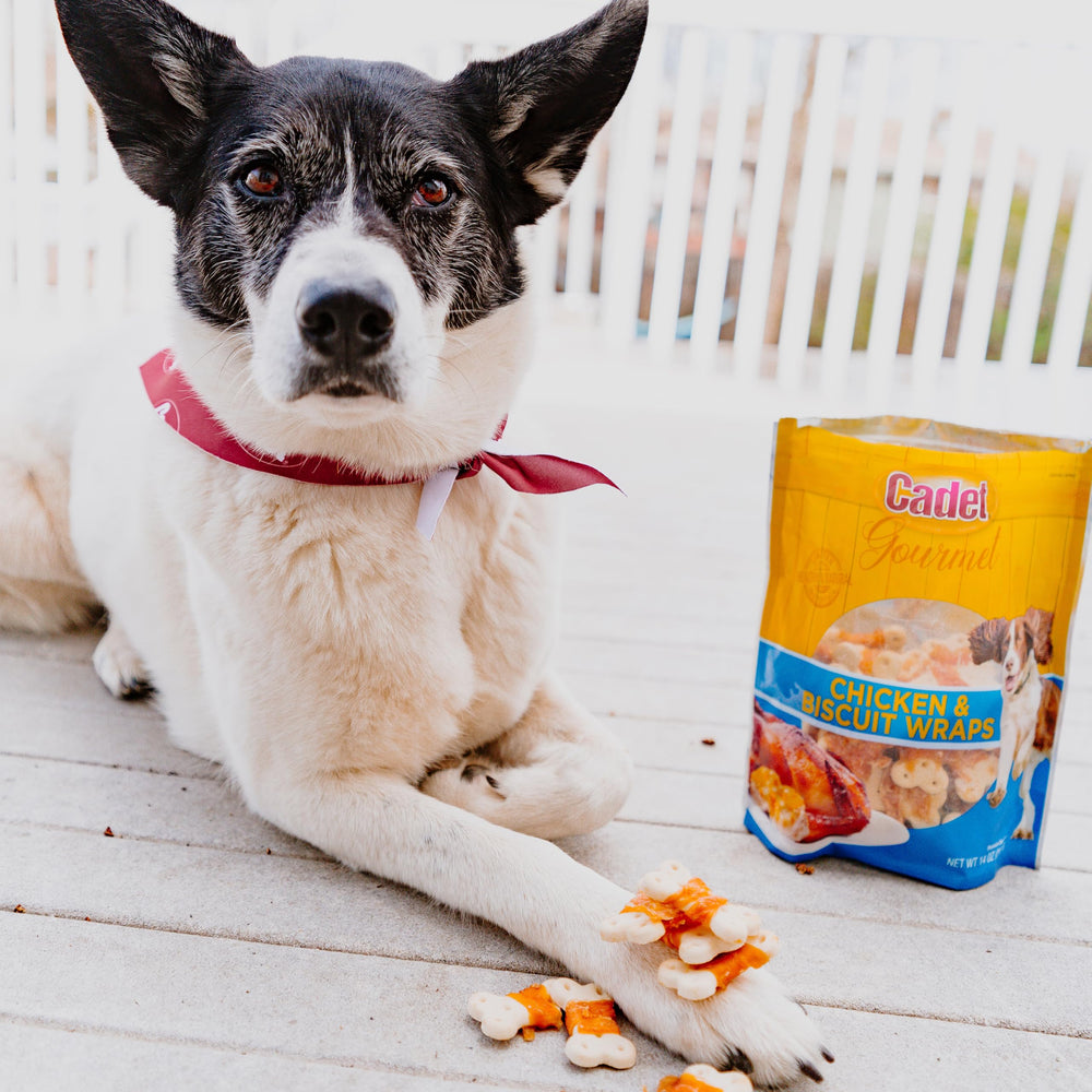 Cadet Gourmet chicken-wrapped-biscuit treats inspection seal emphasizes quality