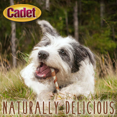 Cadet Gourmet limited-ingredient natural chew with no artificial colors.