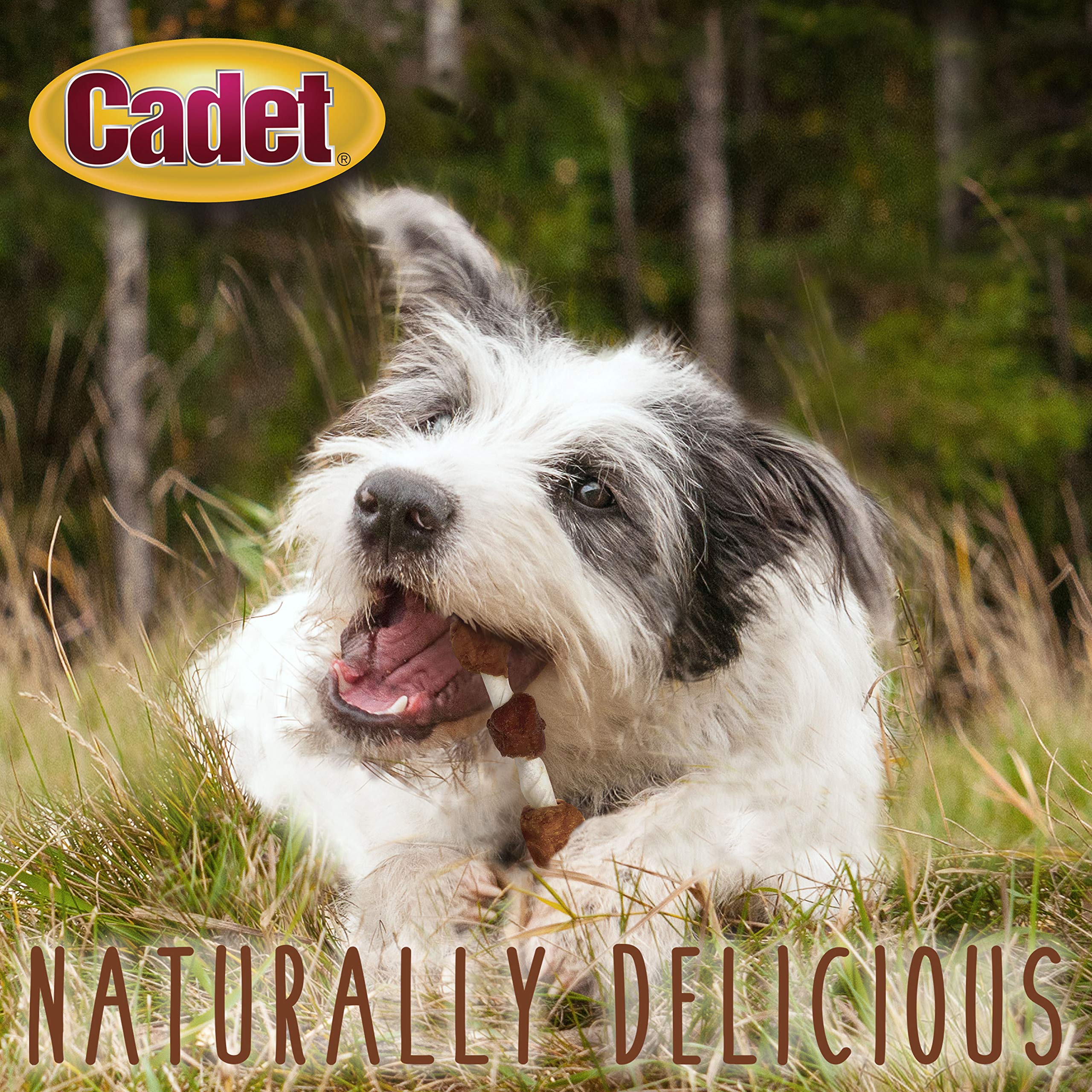 Cadet 24-ounce package offers value for extended chewing sessions