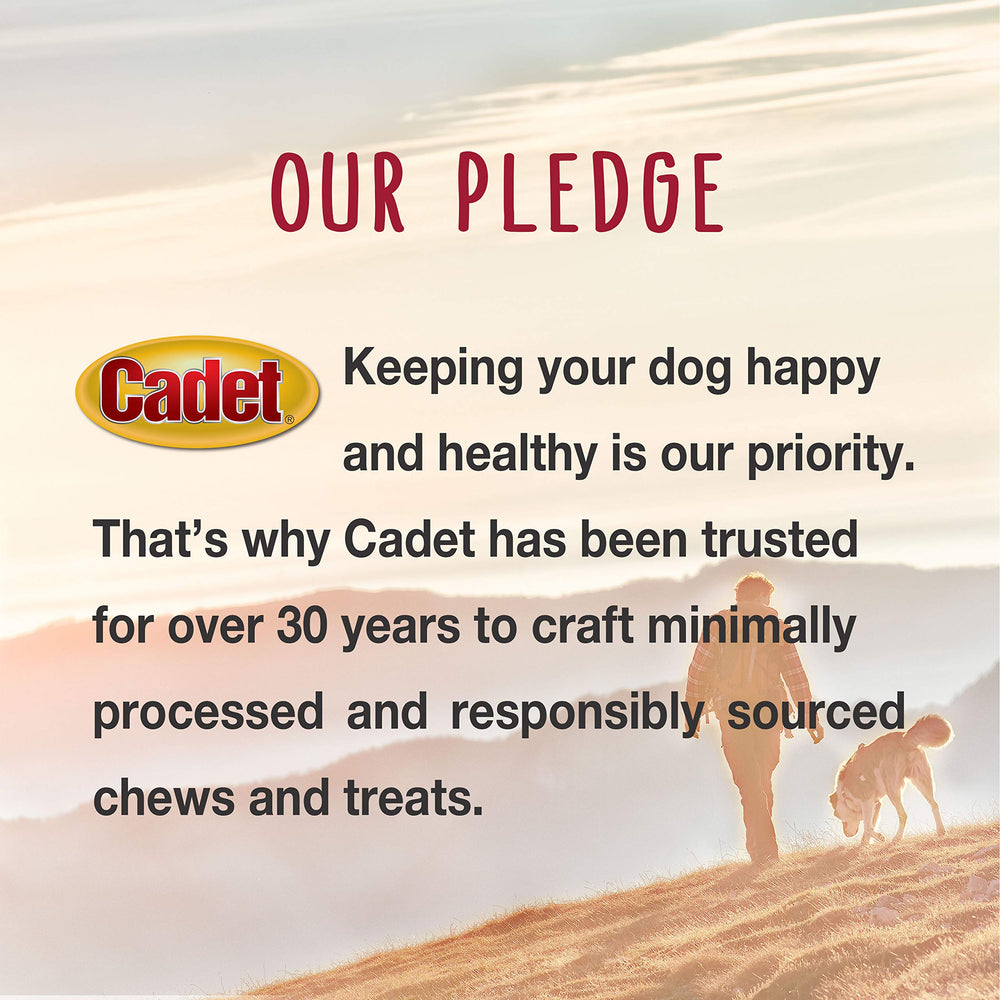 Cadet long-lasting chews keep dogs entertained during chew time