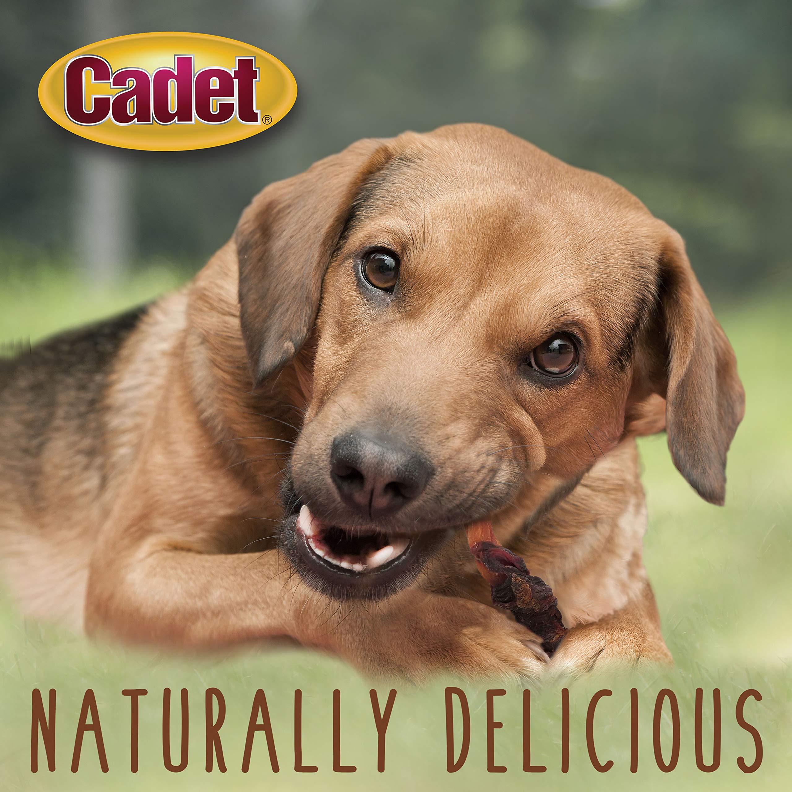 Cadet USA-inspected label signals strict quality standards.