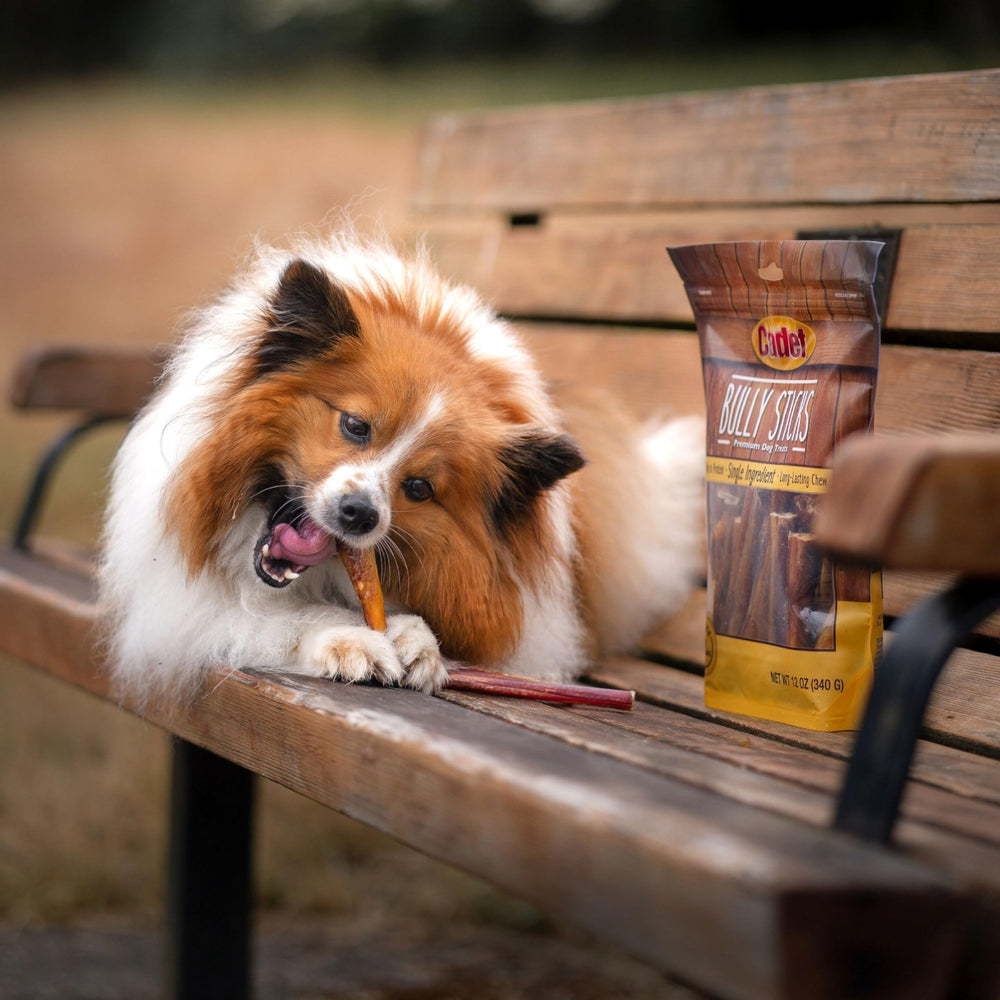 Cadet high-protein low-fat chew supports balanced snacking