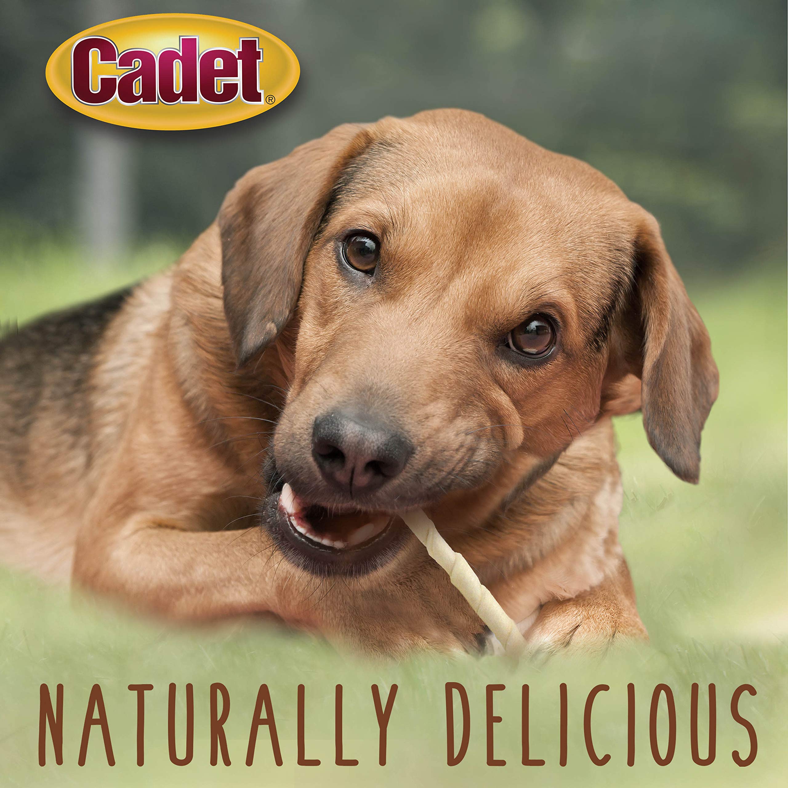 Cadet natural beef-hide flavor dog chew ready to enjoy.