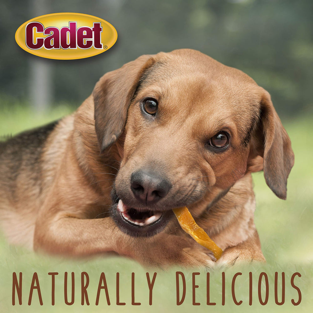 Cadet Sweet Potato Fries dog reward during training.