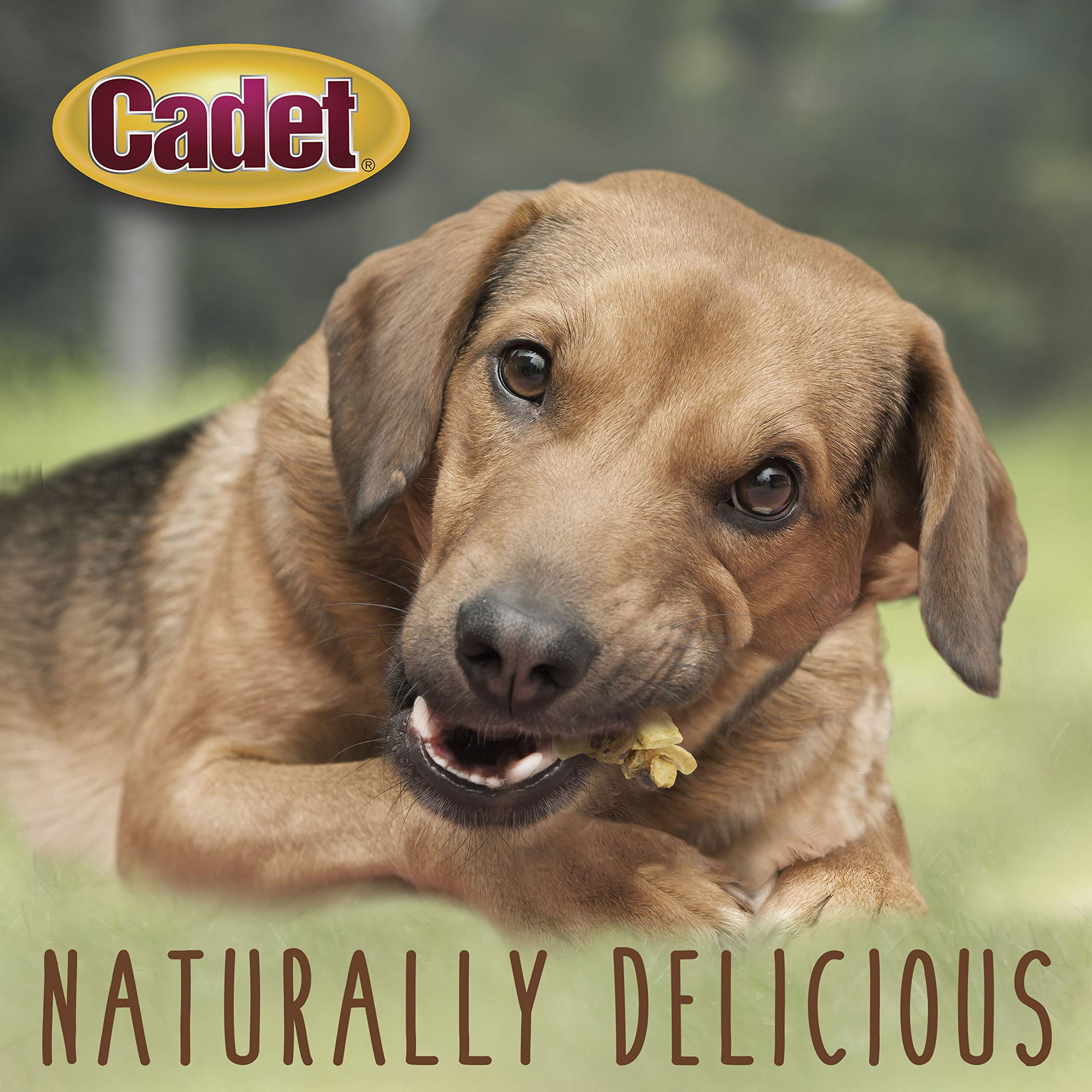 Cadet Training Treats Chicken Apple showcases easy-to-use rewards for dogs.