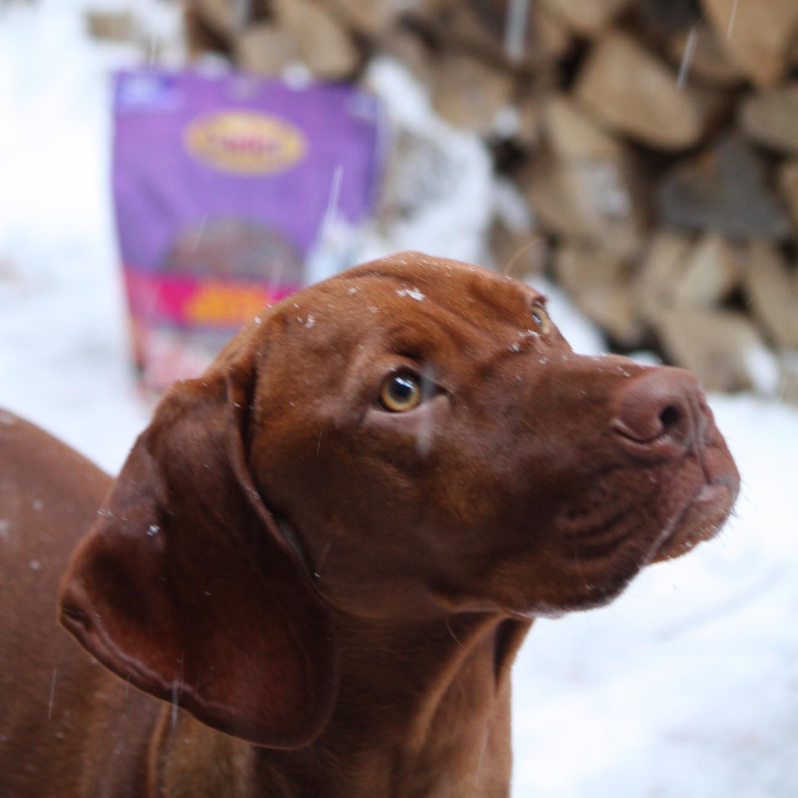 Cadet training treats for dogs, ideal for rewards.