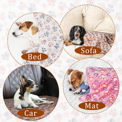 CADONO paw print design adds charm on furniture and carriers