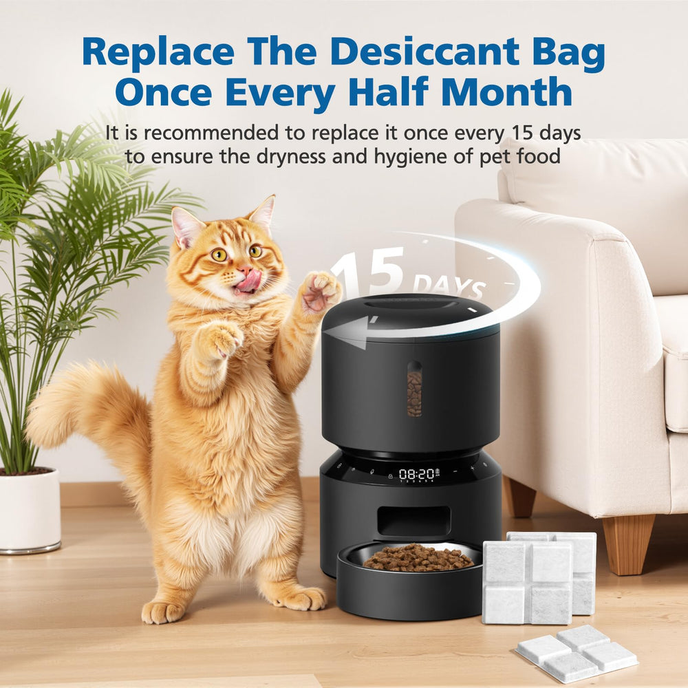 Caehomly easy two-week replacement for peak freshness