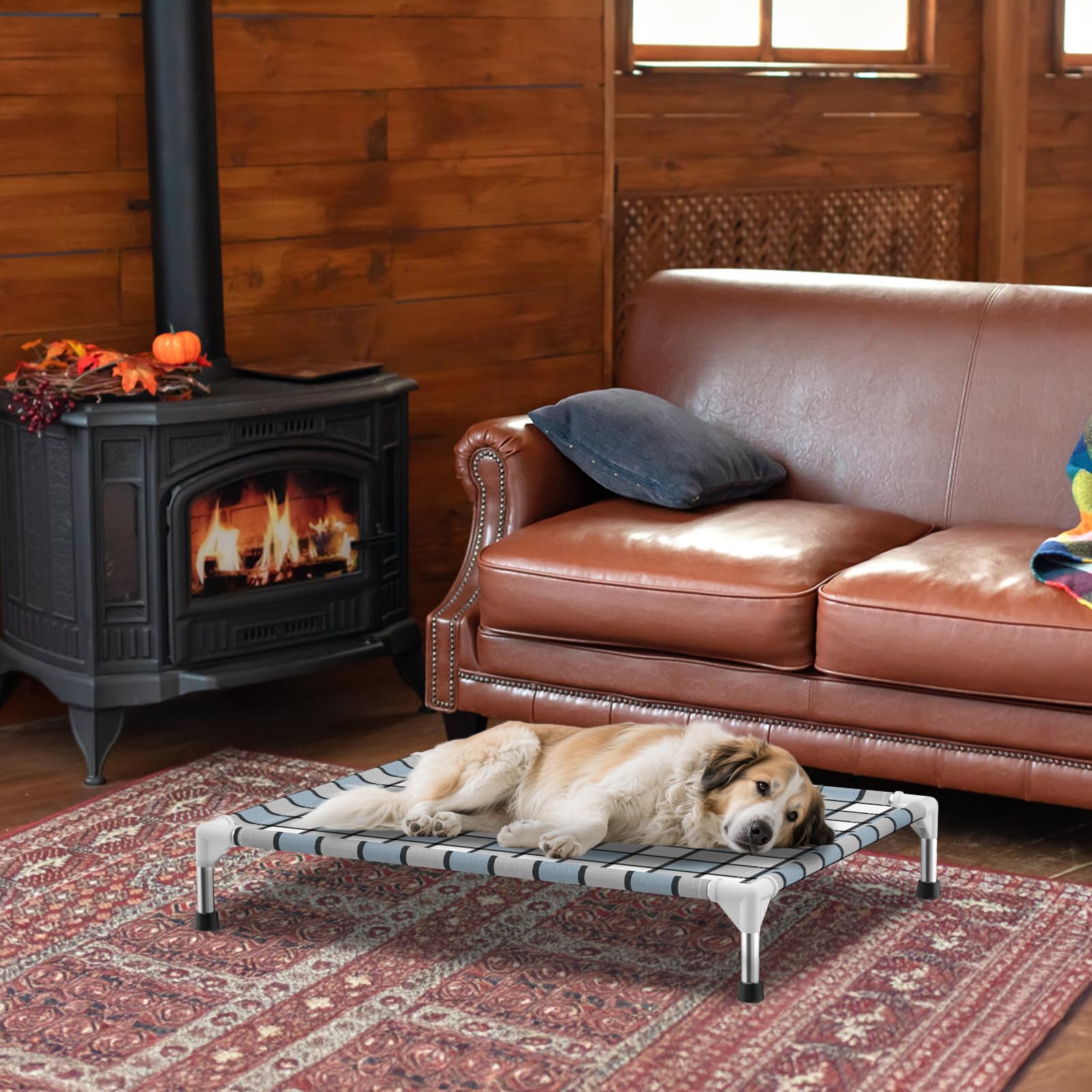 Caghash eco-friendly materials promote a sustainable resting space for pets