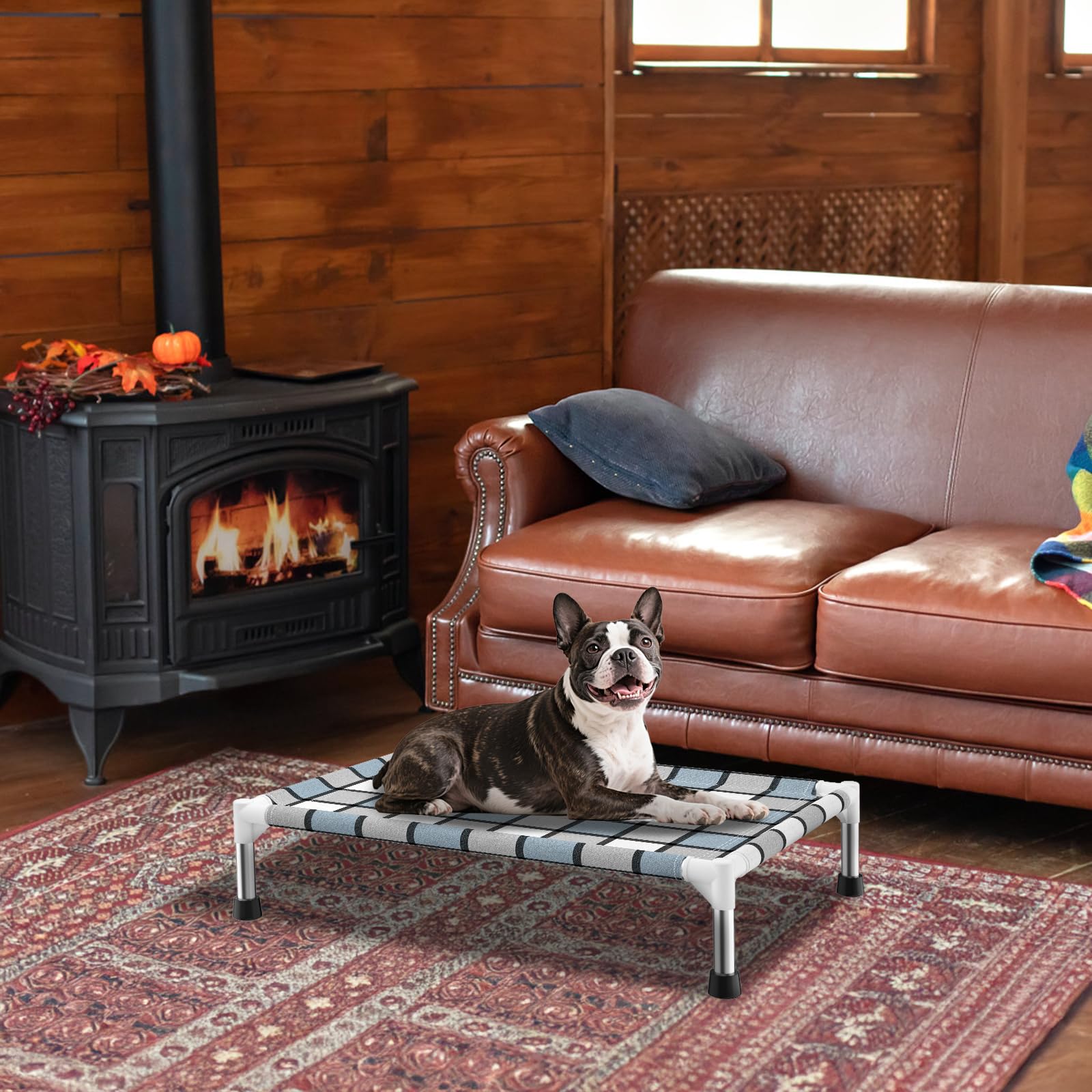 Caghash elevated dog bed easy to assemble and portable.