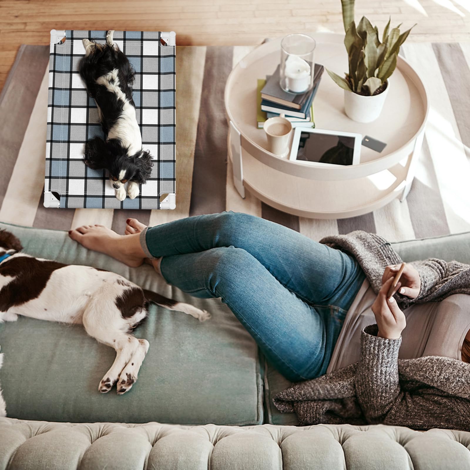 Caghash elevated dog bed blue and white grid design blends with decor.