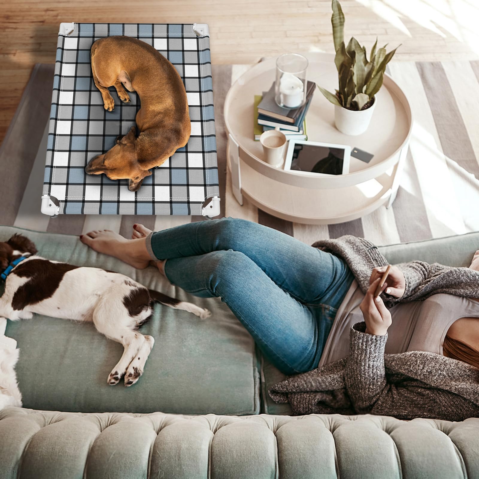 Caghash outdoor dog bed blue and white grid adds style to outdoor spaces