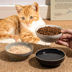Caigmo 5 inch diameter ceramic bowl suitable for whisker friendly meals