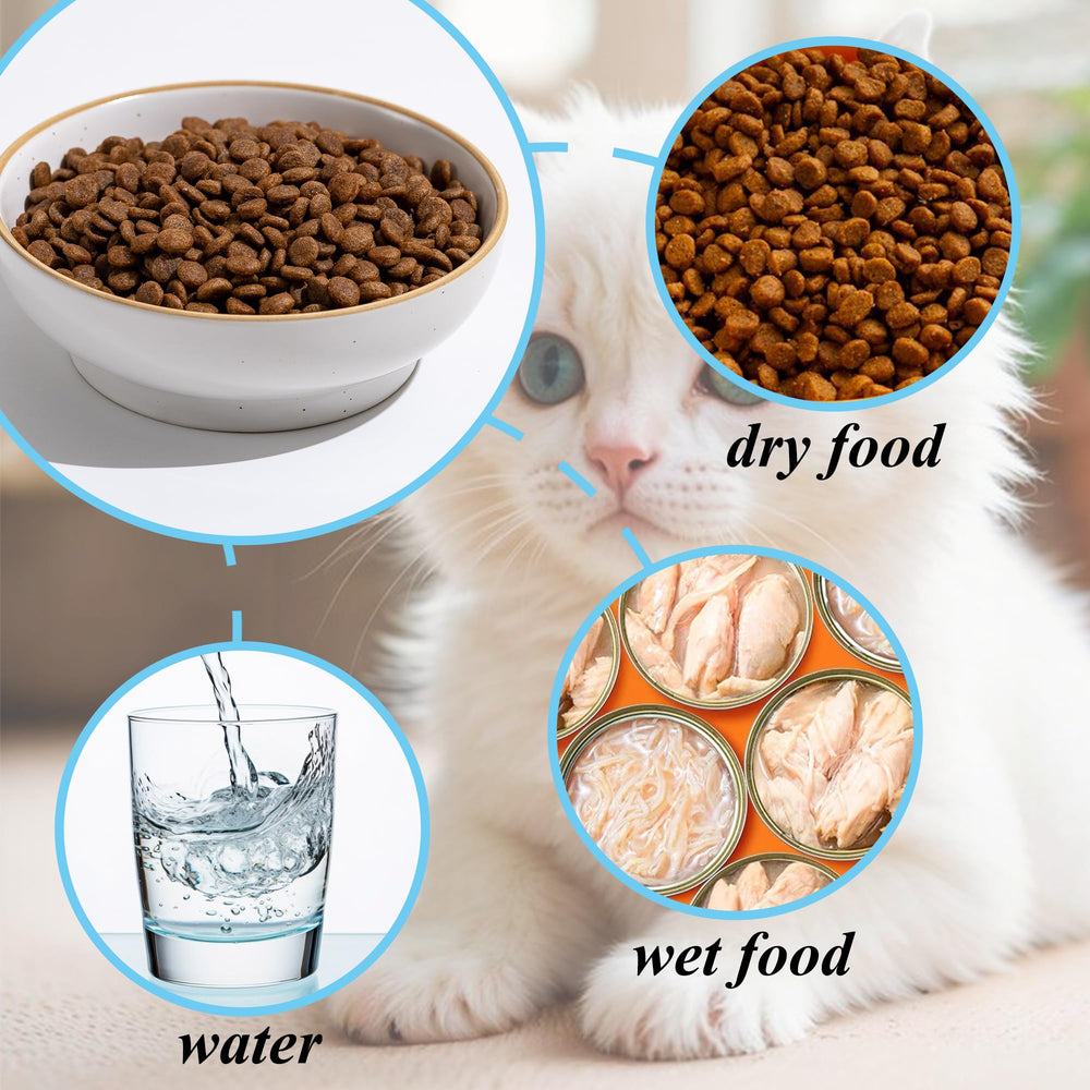 Caigmo cat bowls dishwasher safe for quick cleanup