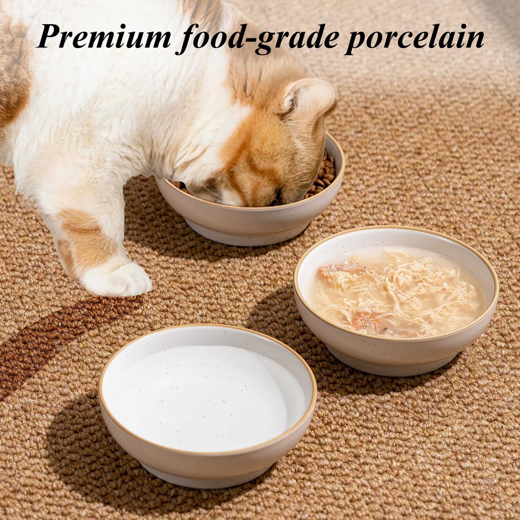Caigmo three tone glaze adds style to pet mealtime