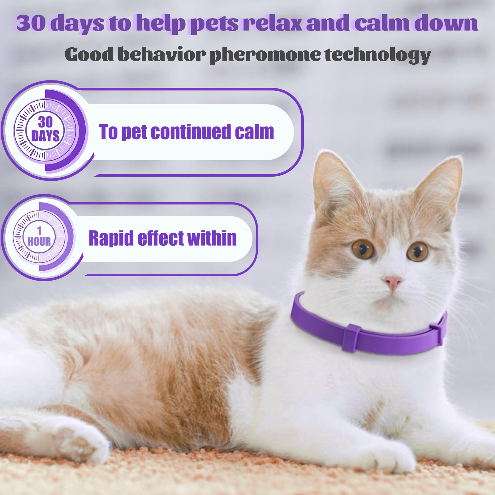 CAILENIFDC adjustable cat collar ensures a secure, comfortable fit.