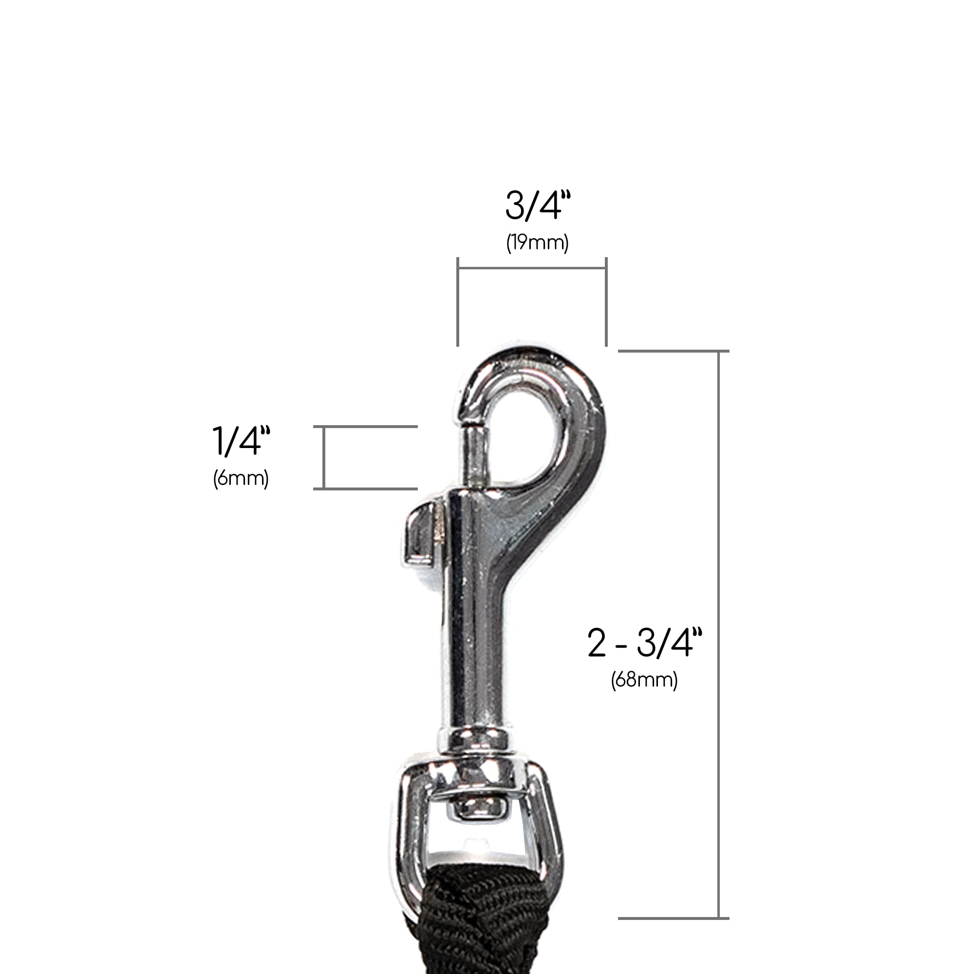 Caldwell's durable tandem leash supports confident walks with large dogs.