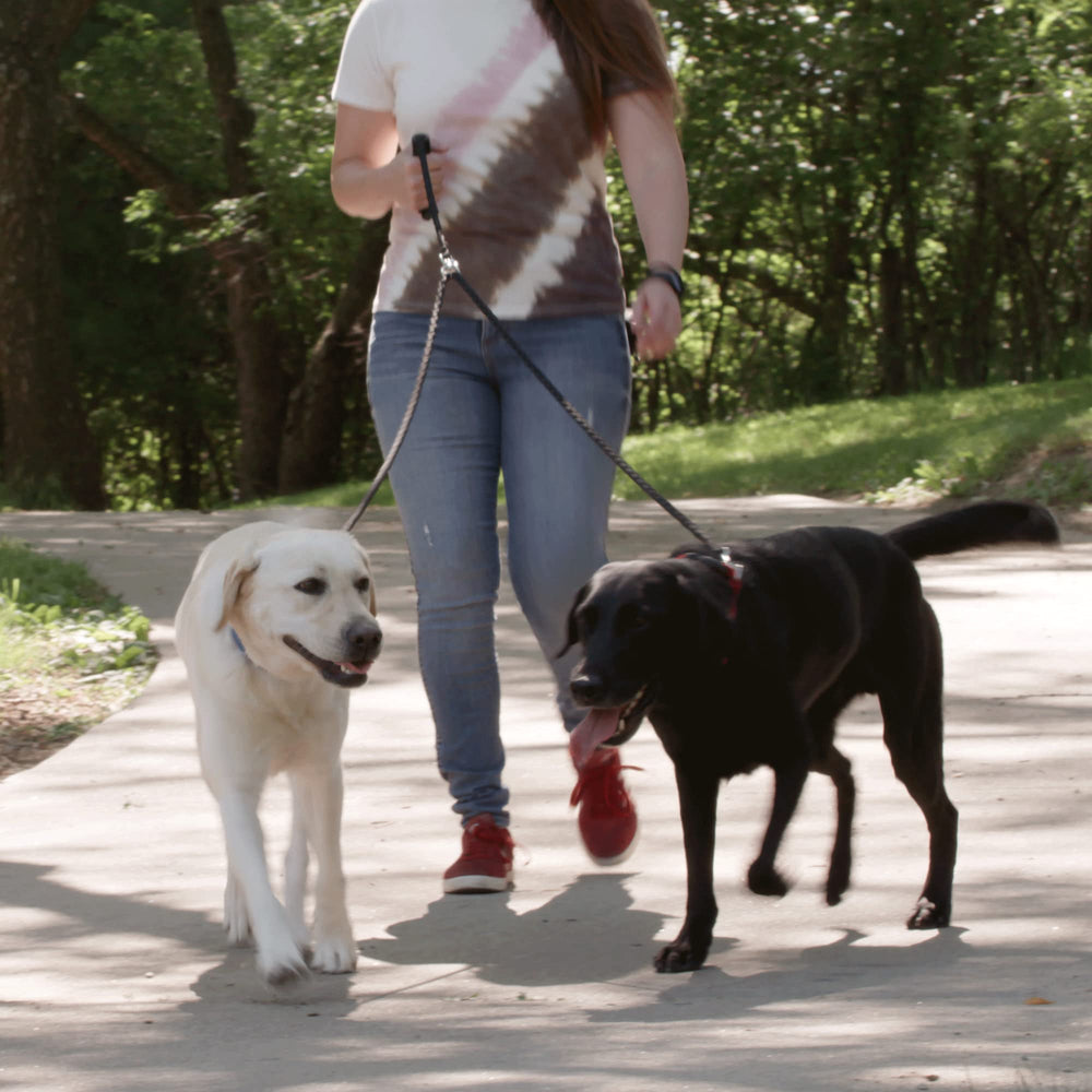 Caldwell's ergonomic grip supports comfortable handling on walks.