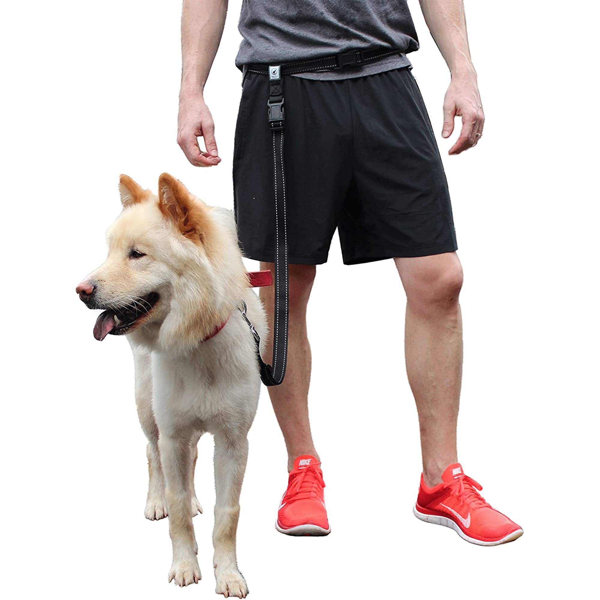Caldwell's durable hip leash designed for larger breeds with reliable handling.