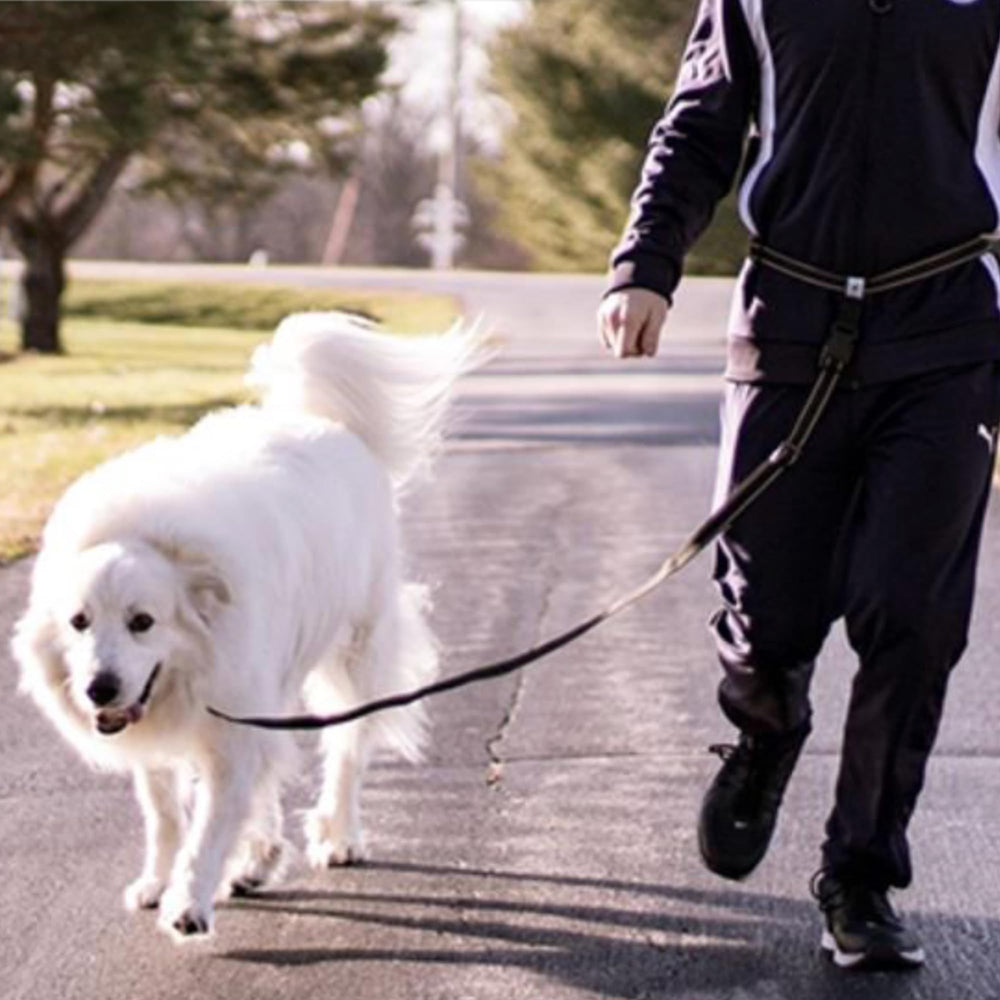Caldwell's leash includes a practical pouch to carry essentials on walks.