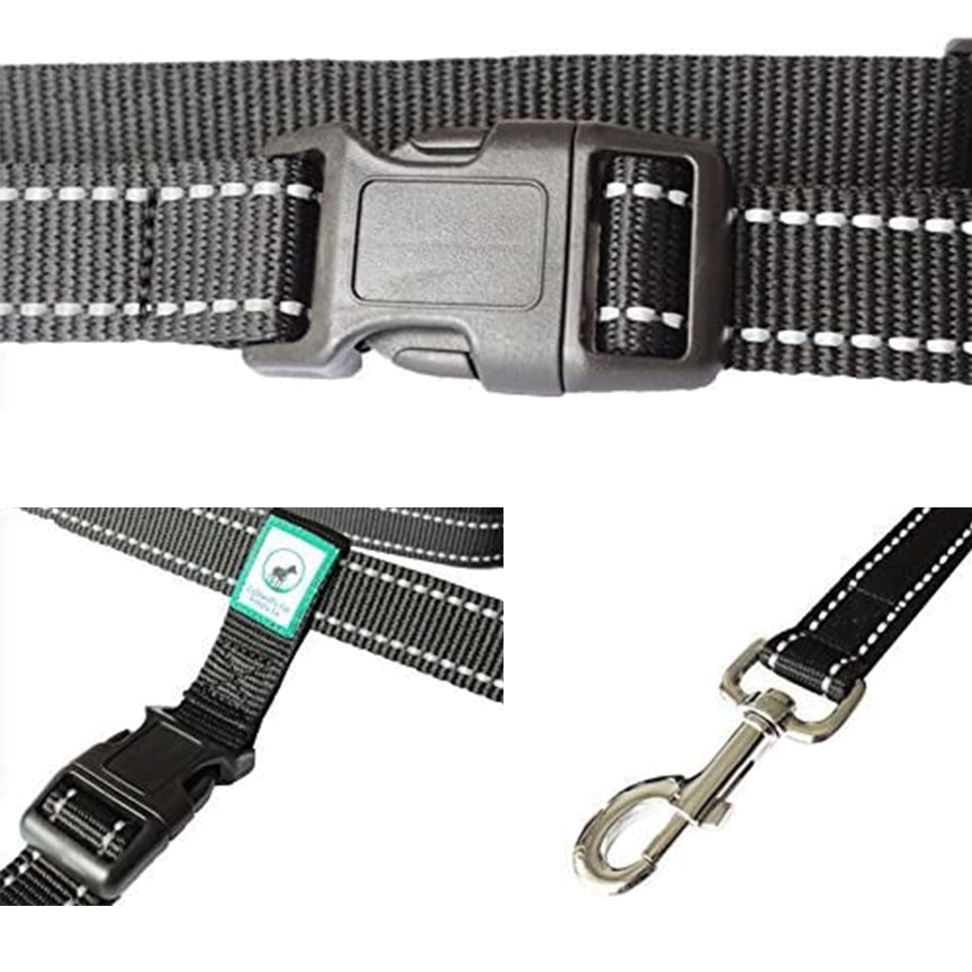 Caldwell's leash supports large dogs during daily adventures with steady control.