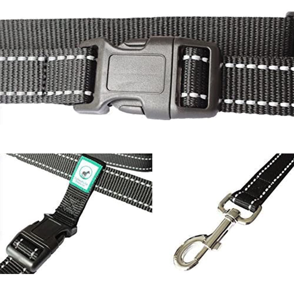 Caldwell's leash supports large dogs during daily adventures with steady control.