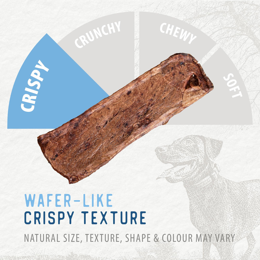 Caledon Farms Beef Tendersticks B vitamins graphic, supports immune-friendly wellness and coat shine.