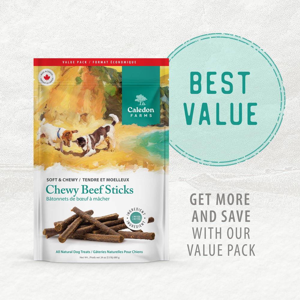 Caledon Farms Chewy Beef Sticks for active dogs support energy during daily play.