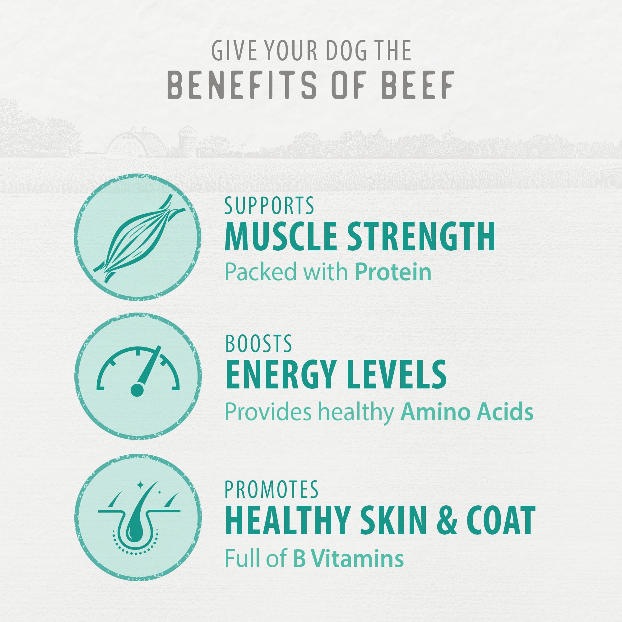 Caledon Farms Chewy Beef Sticks ingredient list highlights eight wholesome ingredients.