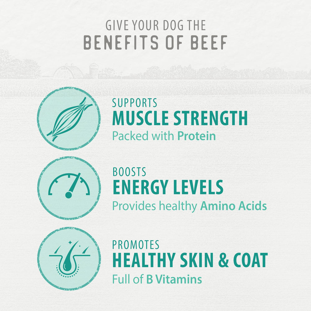 Caledon Farms Chewy Beef Sticks ingredient list highlights eight wholesome ingredients.