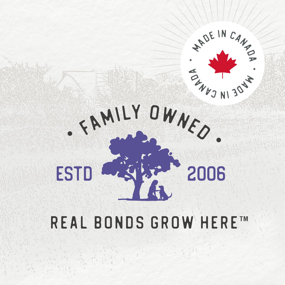 Caledon Farms sweet potatoes closeup reveals vibrant orange texture and natural fiber