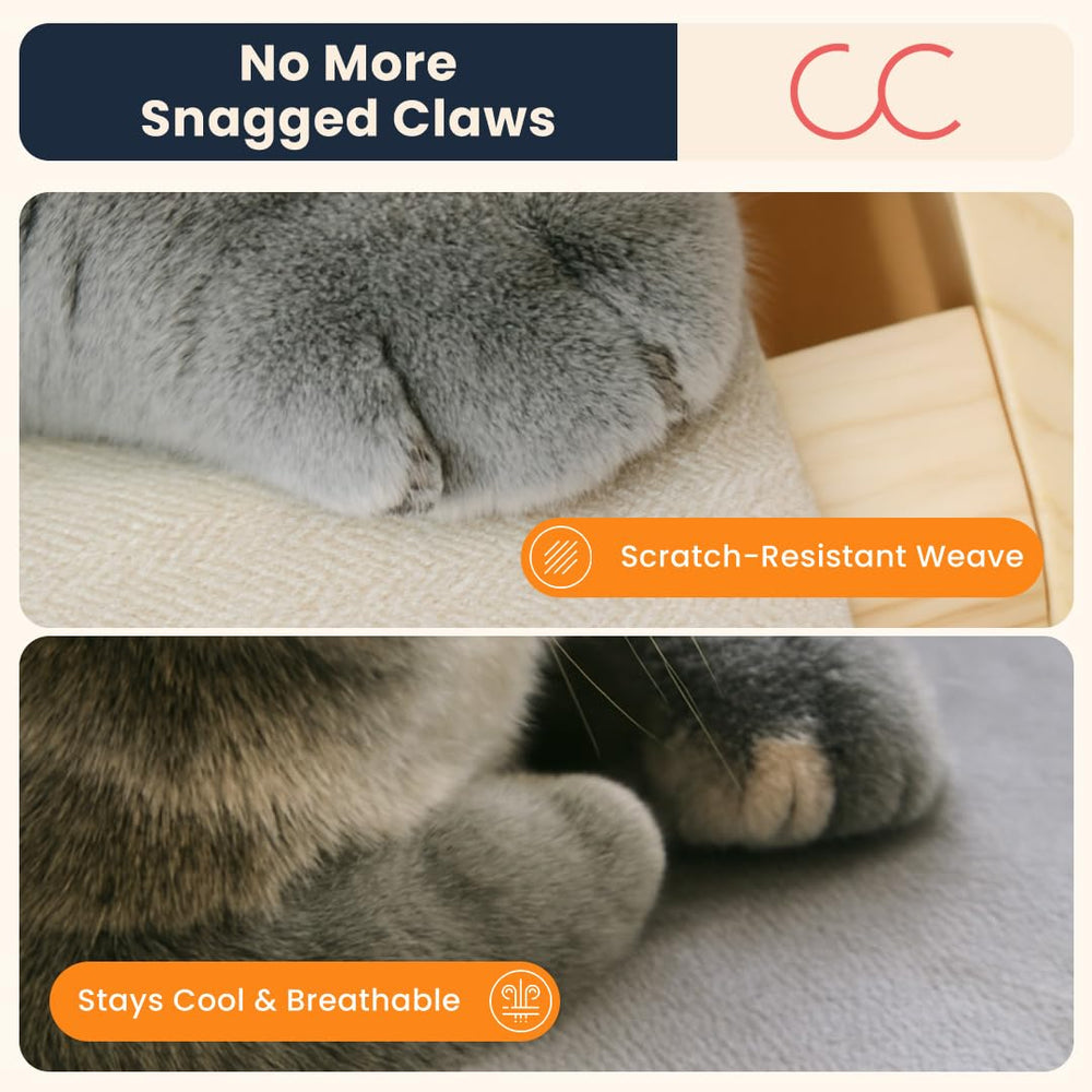 CallieCo elevated pet lounger setup suits indoor and sheltered outdoor use.