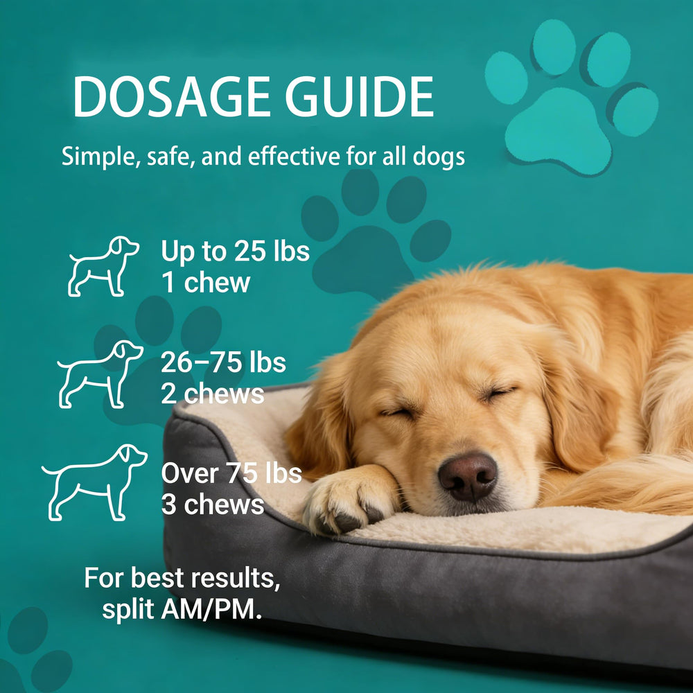 Calmaxis Chews in daily-use scene for simple dog supplementation.