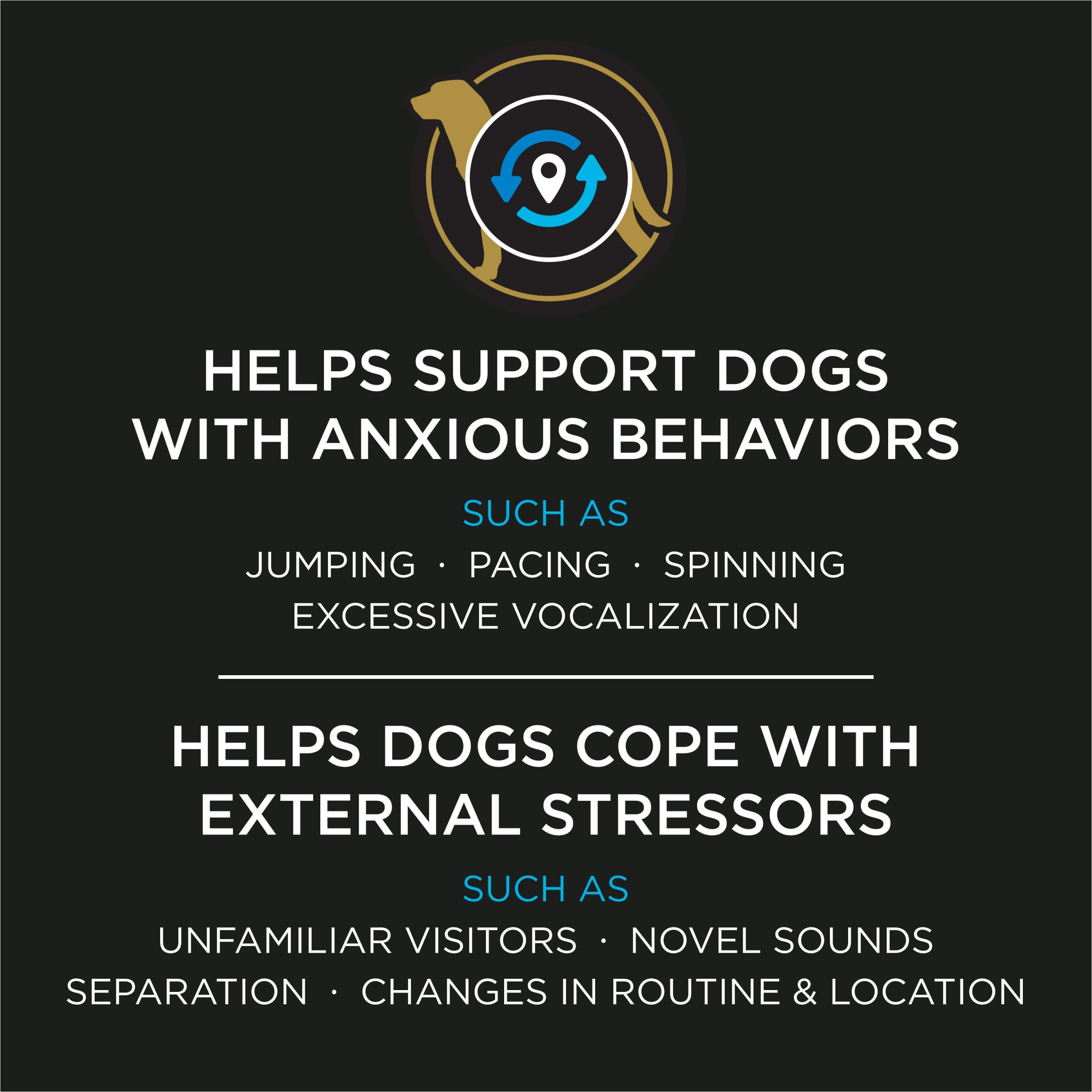 Calming Care powder sprinkled into dog food to support calm behavior.