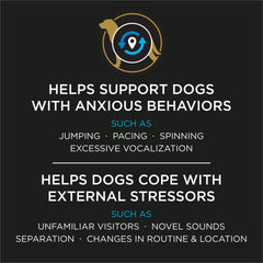 Calming Care powder sprinkled into dog food to support calm behavior.