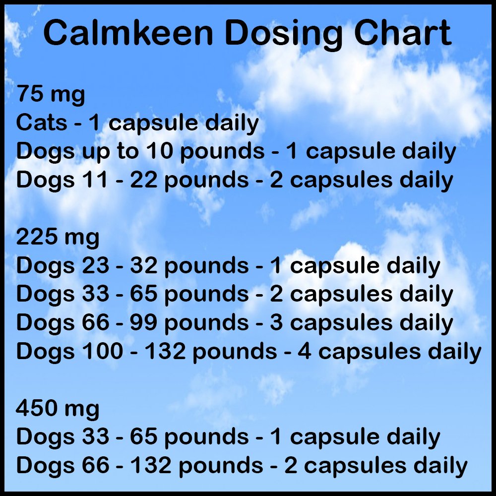 Calmkeen pet relaxing scene with dog and cat, promoting calmer moments.